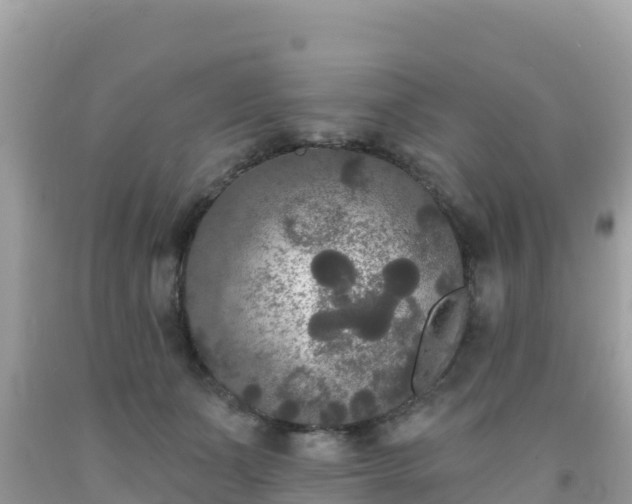 X0000092010511200709131537