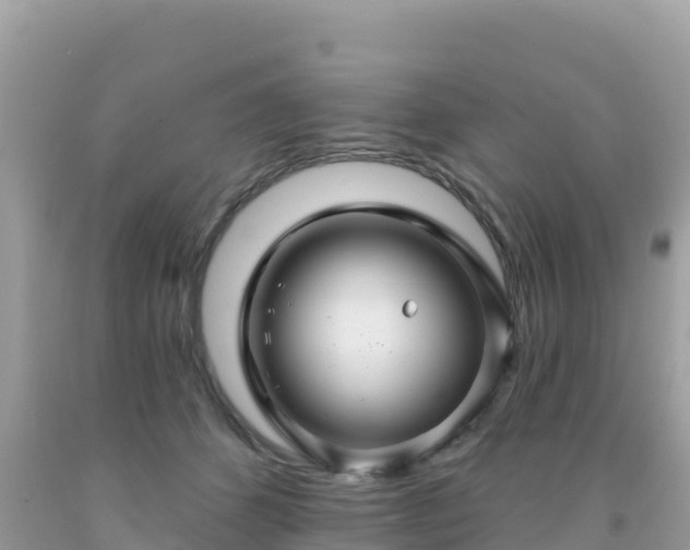 X0000092010512200709131537
