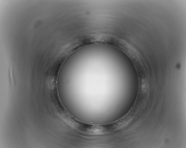 X0000092010514200709131537