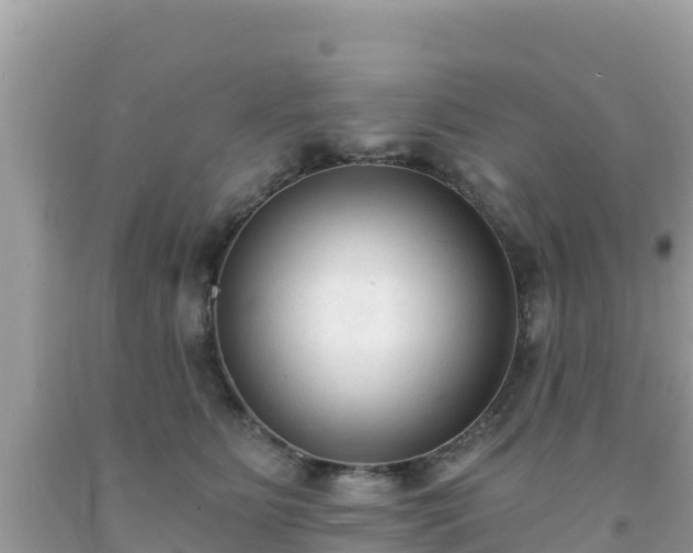 X0000092010515200709131537