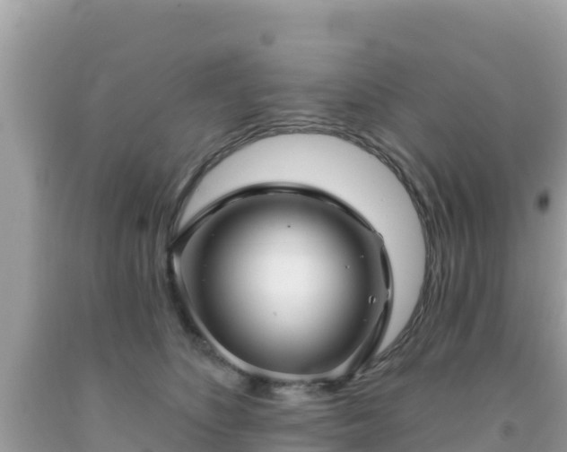 X0000092010516200709131537