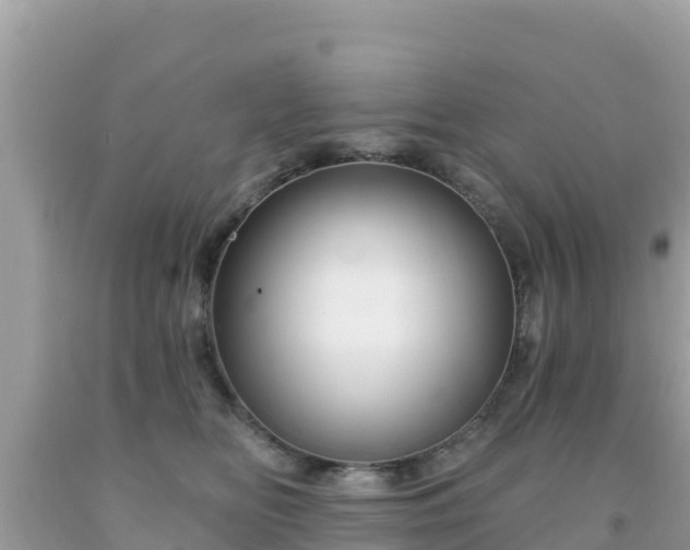 X0000092010518200709131537