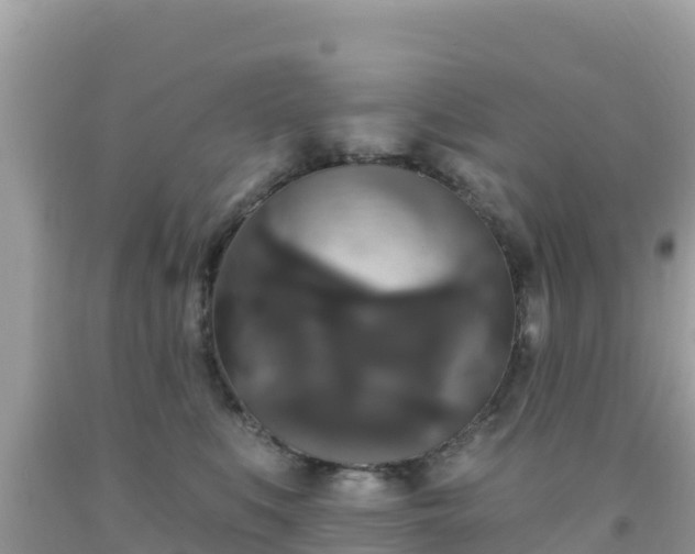 X0000092010519200709131537
