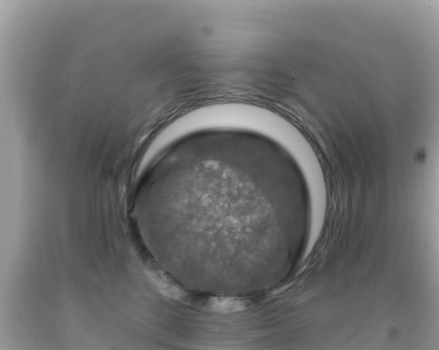 X0000092010520200709131537