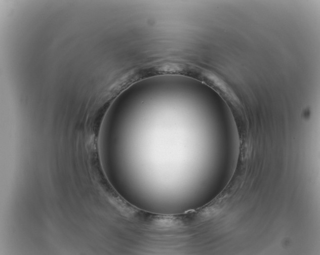 X0000092010521200709131537
