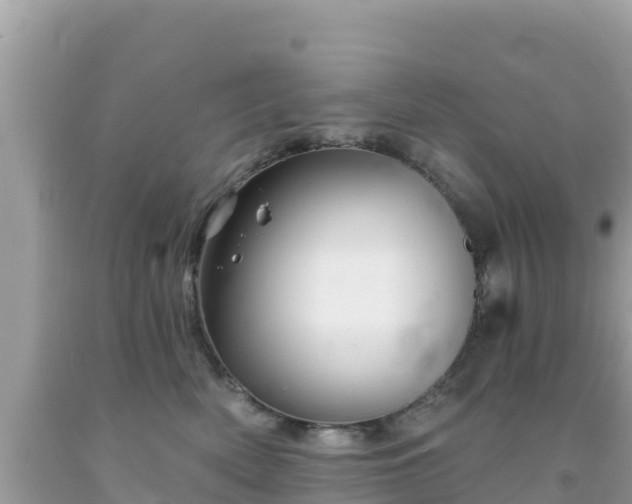 X0000092010522200709131537