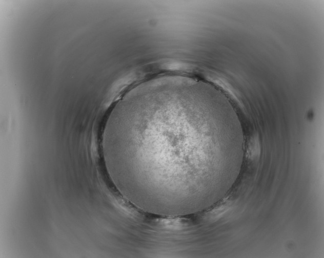 X0000092010524200709131537