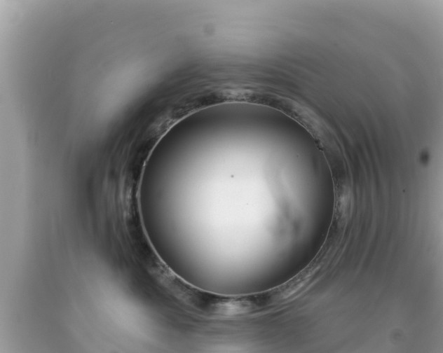 X0000092010525200709131537