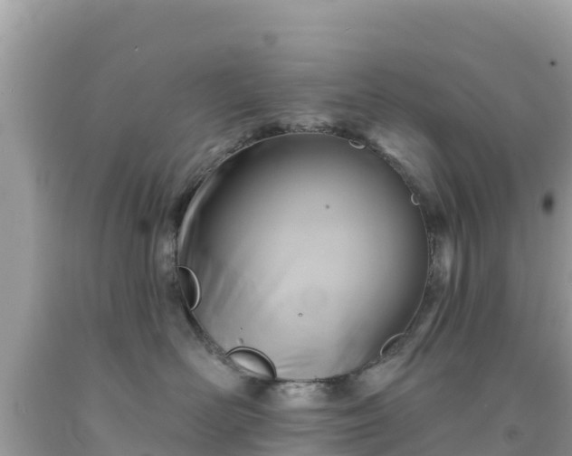 X0000092010526200709131537