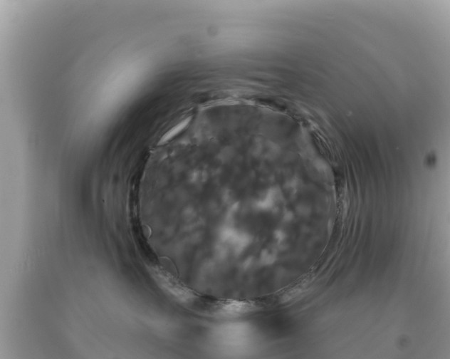 X0000092010527200709131537