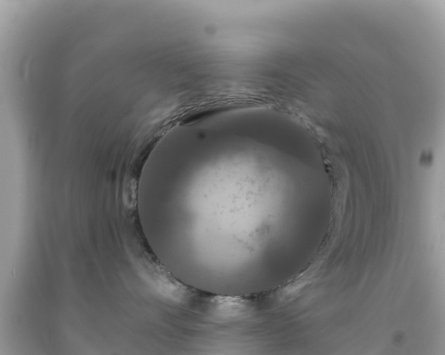 X0000092010528200709131537