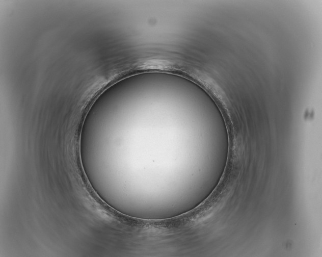 X0000092010529200709131536