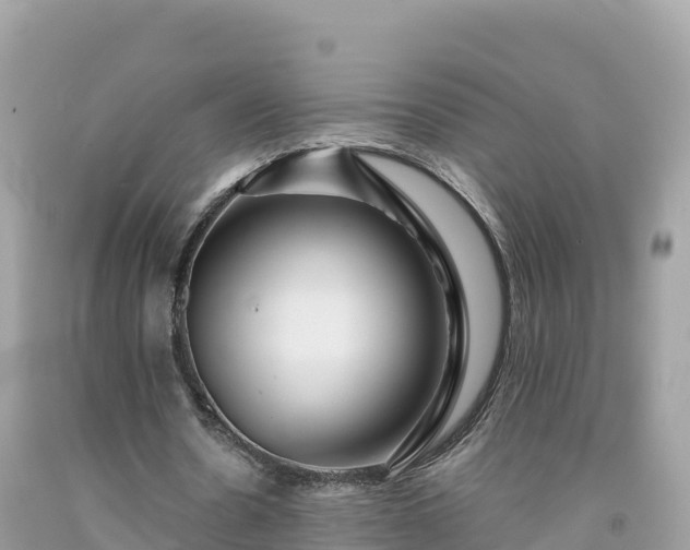 X0000092010530200709131536