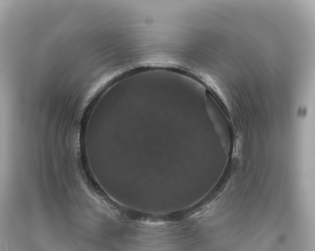 X0000092010531200709131536