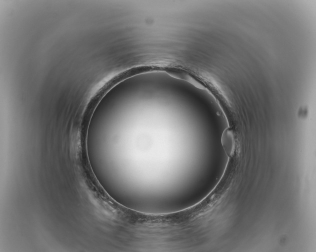 X0000092010532200709131536
