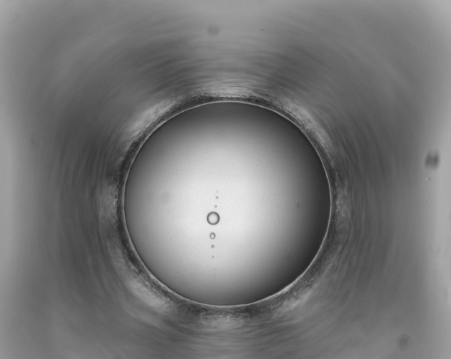 X0000092010533200709131536