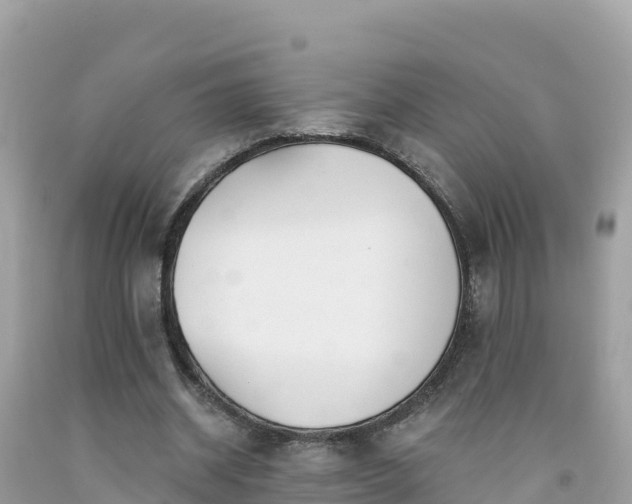 X0000092010534200709131536