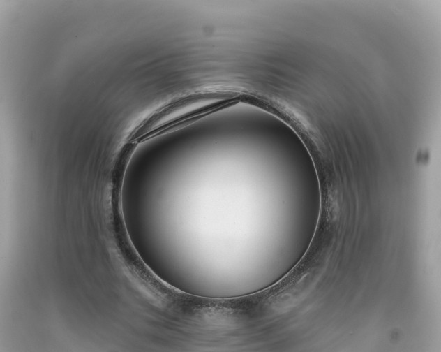 X0000092010535200709131536