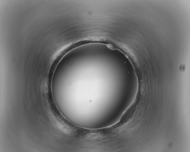 X0000092010536200709131536