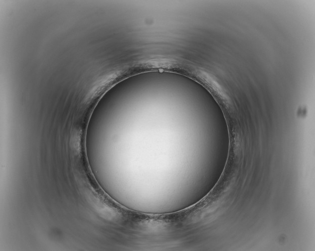 X0000092010537200709131536