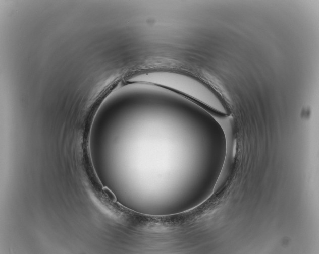 X0000092010538200709131536