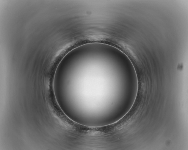 X0000092010539200709131536