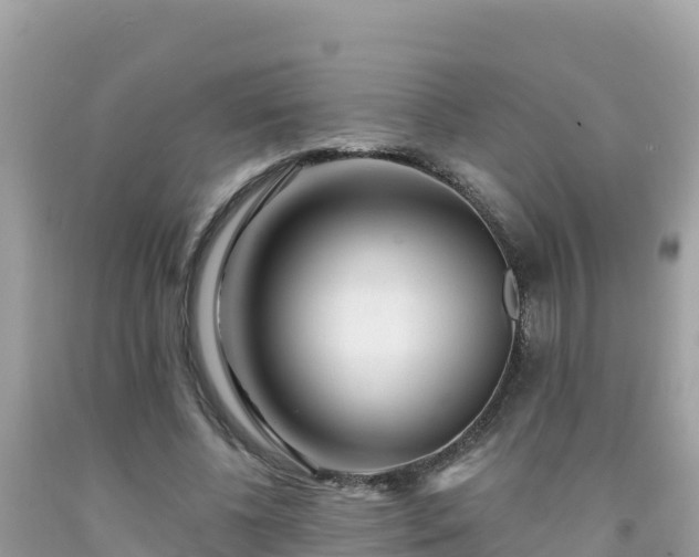 X0000092010540200709131536
