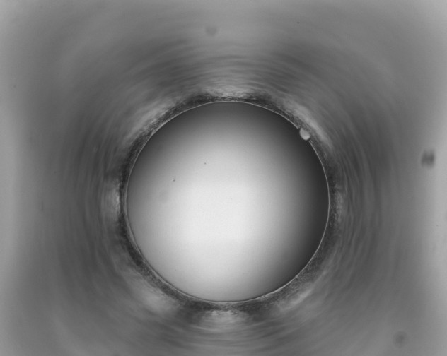 X0000092010541200709131536
