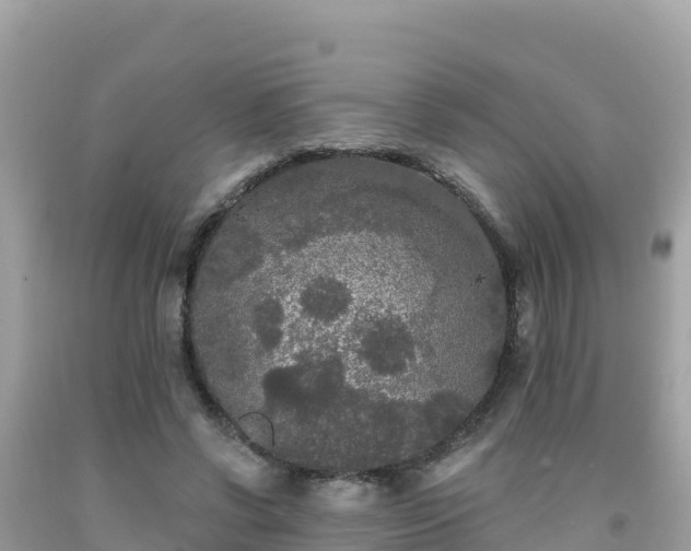 X0000092010542200709131536