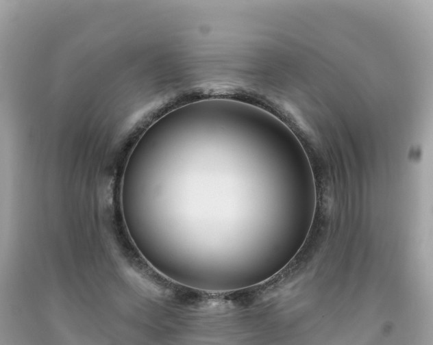 X0000092010543200709131536