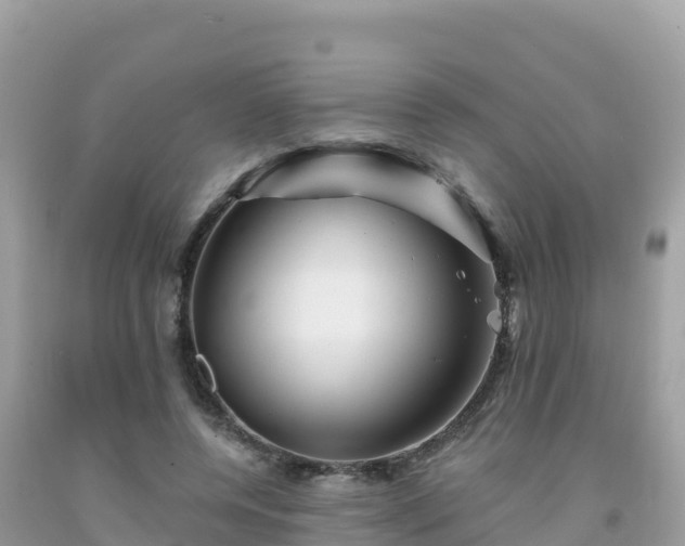X0000092010544200709131537