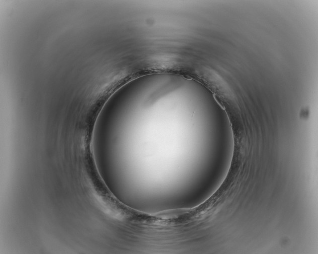 X0000092010546200709131537