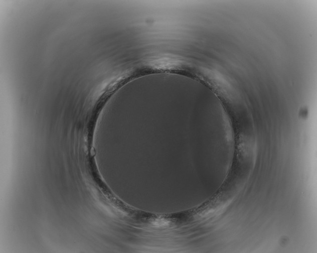 X0000092010547200709131537