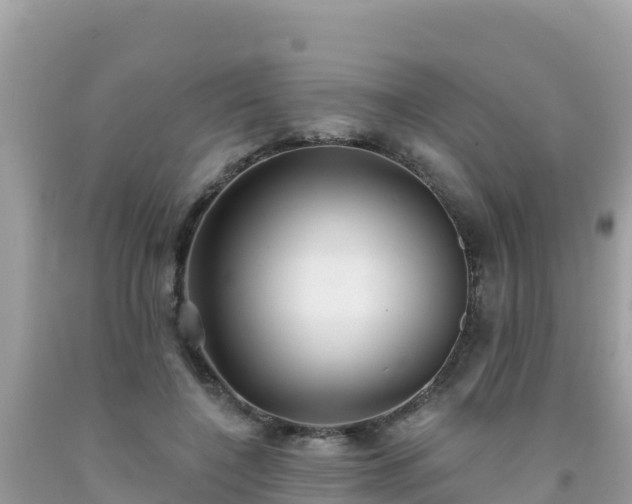 X0000092010548200709131537