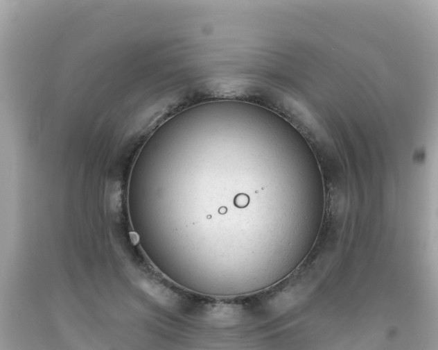X0000092010549200709131537