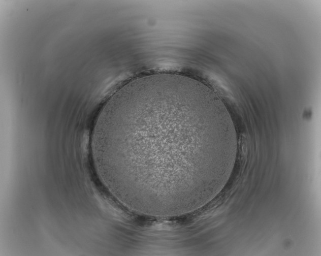 X0000092010550200709131537
