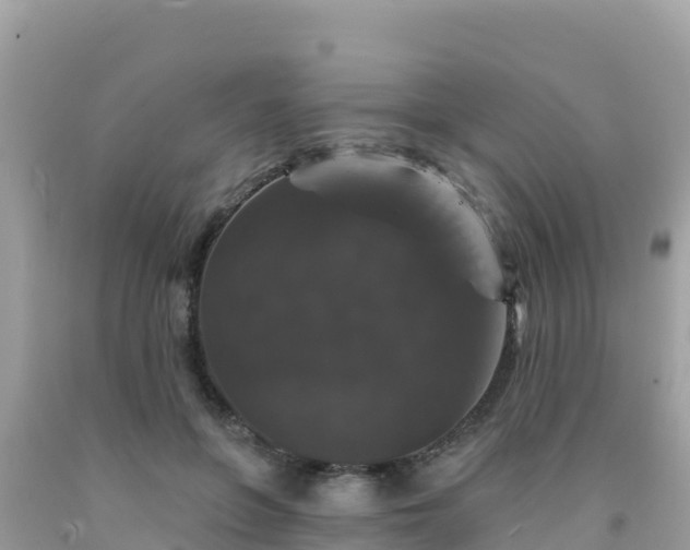 X0000092010551200709131537