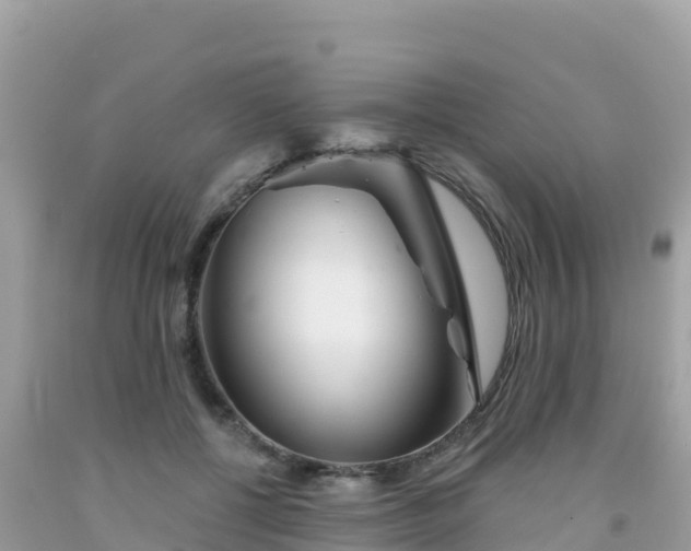 X0000092010552200709131537