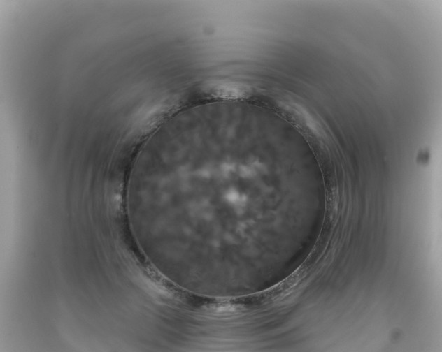 X0000092010553200709131537