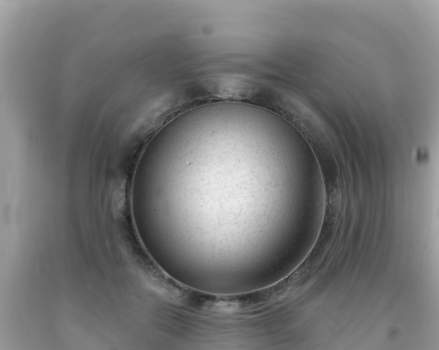 X0000092010554200709131537