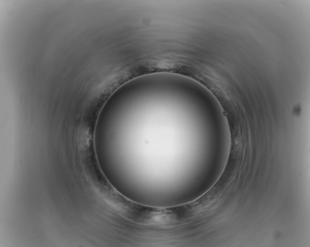 X0000092010555200709131537