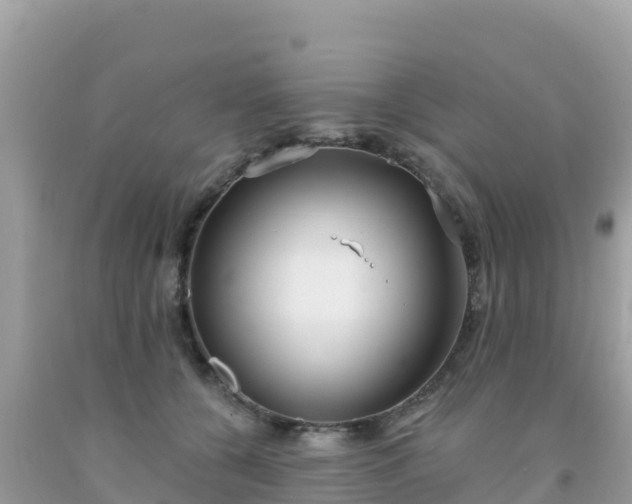 X0000092010560200709131537
