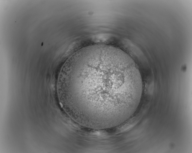 X0000092010561200709131537