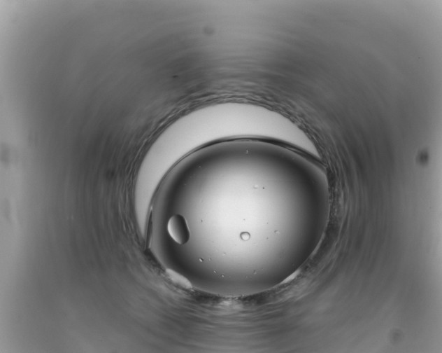 X0000092010562200709131537