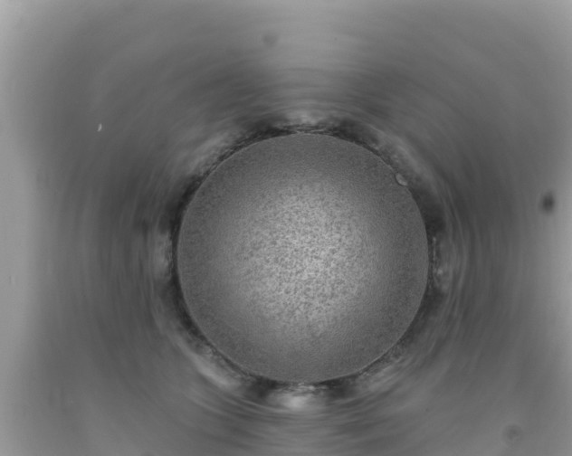 X0000092010563200709131537