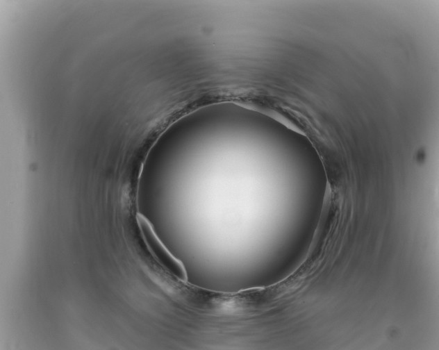 X0000092010564200709131537