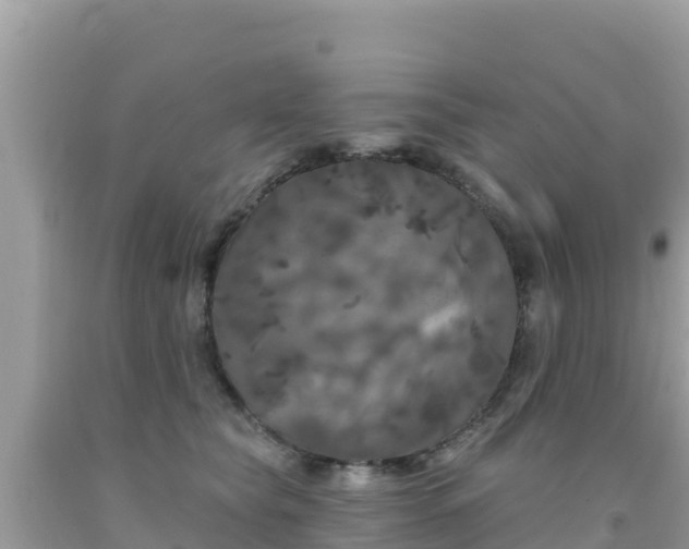 X0000092010565200709131537