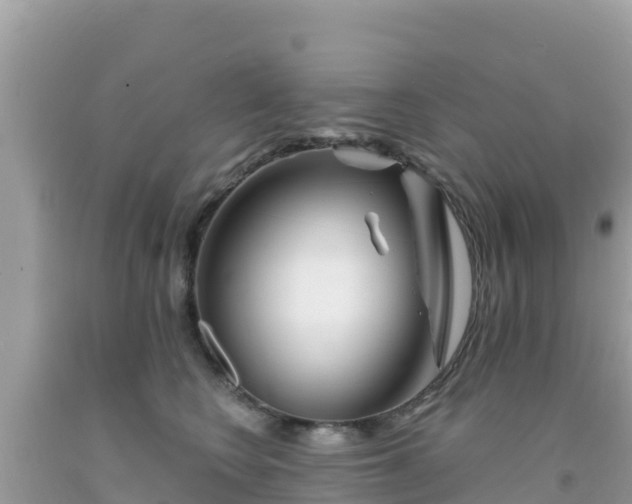 X0000092010566200709131537