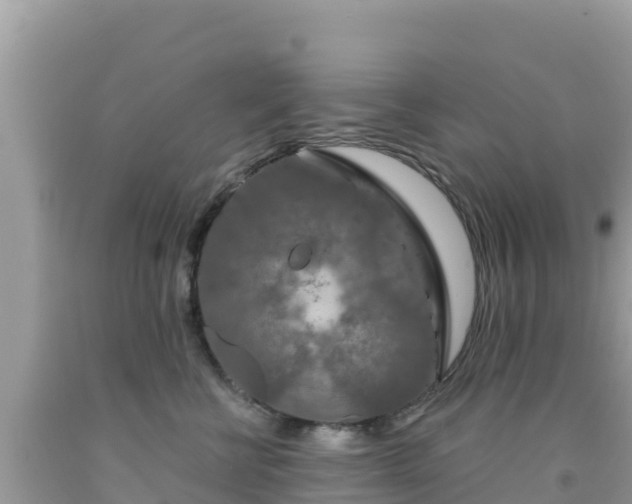 X0000092010570200709131537
