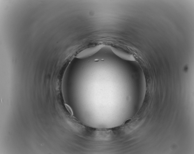 X0000092010571200709131537
